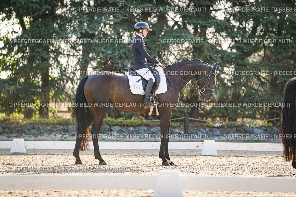 DSC08266 | Pferdegrafie