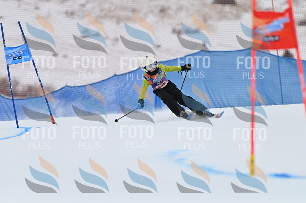 BGV_1802 | holidayphoto