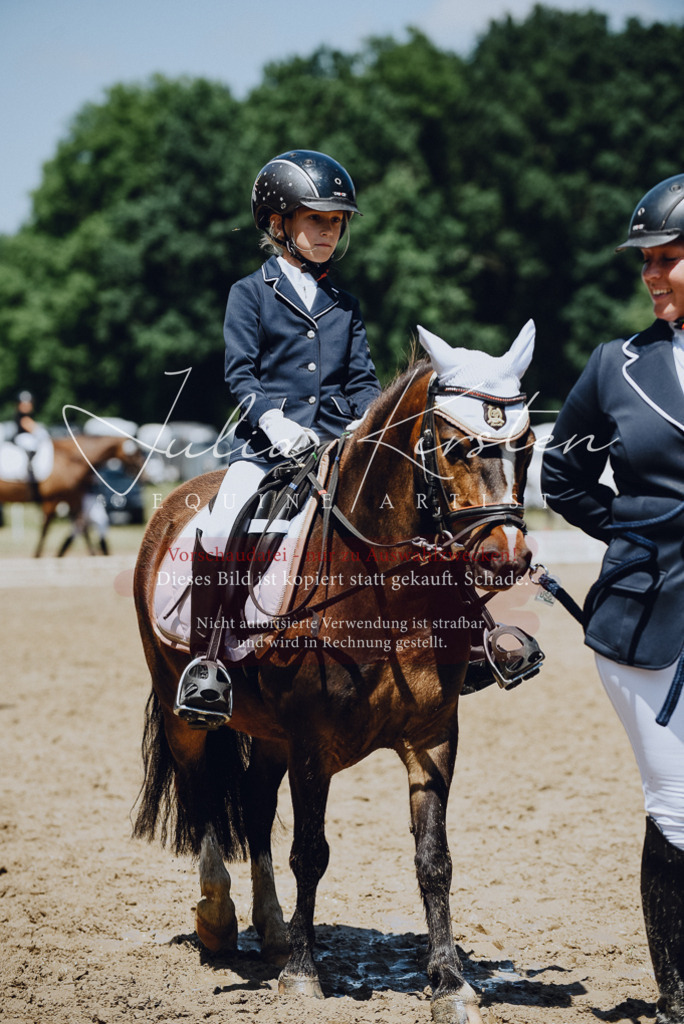 DSC_2206 | Pferde- und Turnierfotografie in Westsachsen. Pferdeportraits, Auftragszeichnungen und intuitive Kunst.