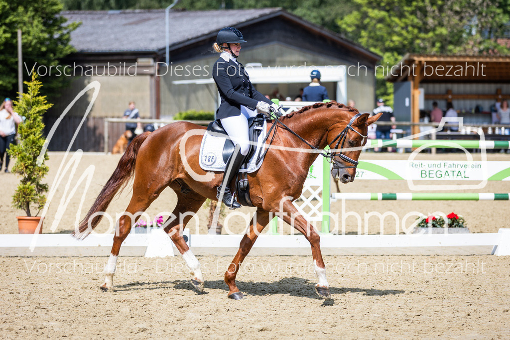 Donop24-L-Dre-046 | MomenTaufnahmen Pferdesportfotos