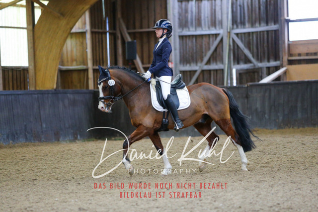 IMG_0685 | Turniersportfotografie; Pferdefotografie; Dressurfotografie