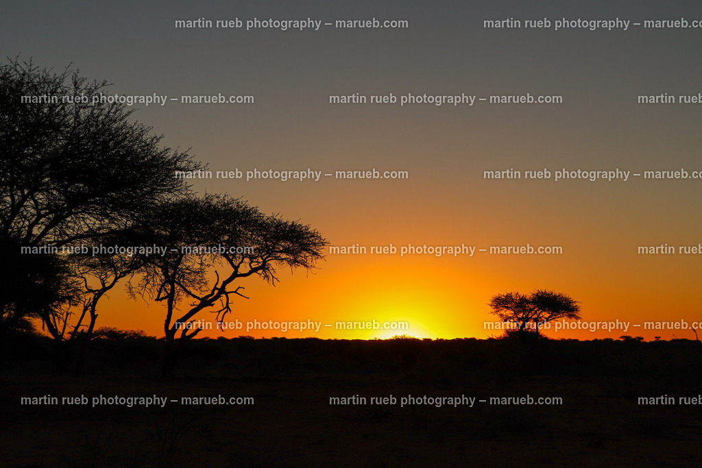 Kalahari sunset | Sunset at Kalahari desert - Realisiert mit Pictrs.com