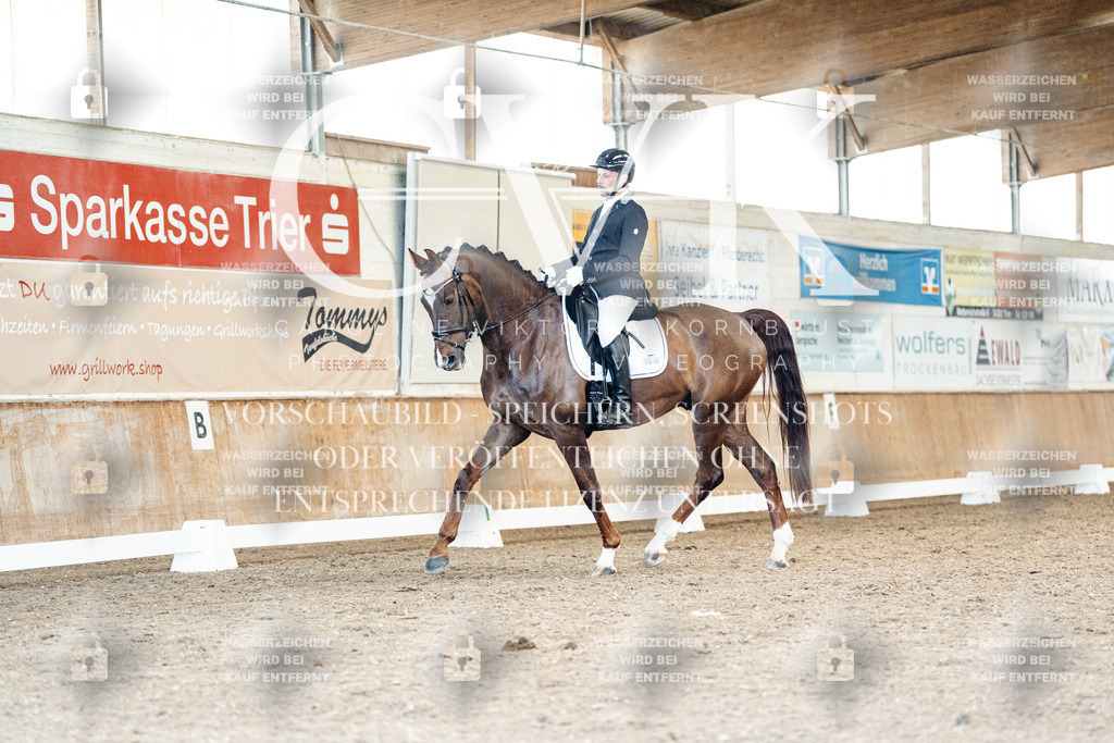 CK909435 | Turnierfotografie Pferdefotografie Trier Rheinland-Pfalz Pferdesport Reitsport Tierfotografie Sportfotografie Pferdevideo Pferdevideografie Equestrianvideography equestrianphotography  - Realisiert mit Pictrs.com