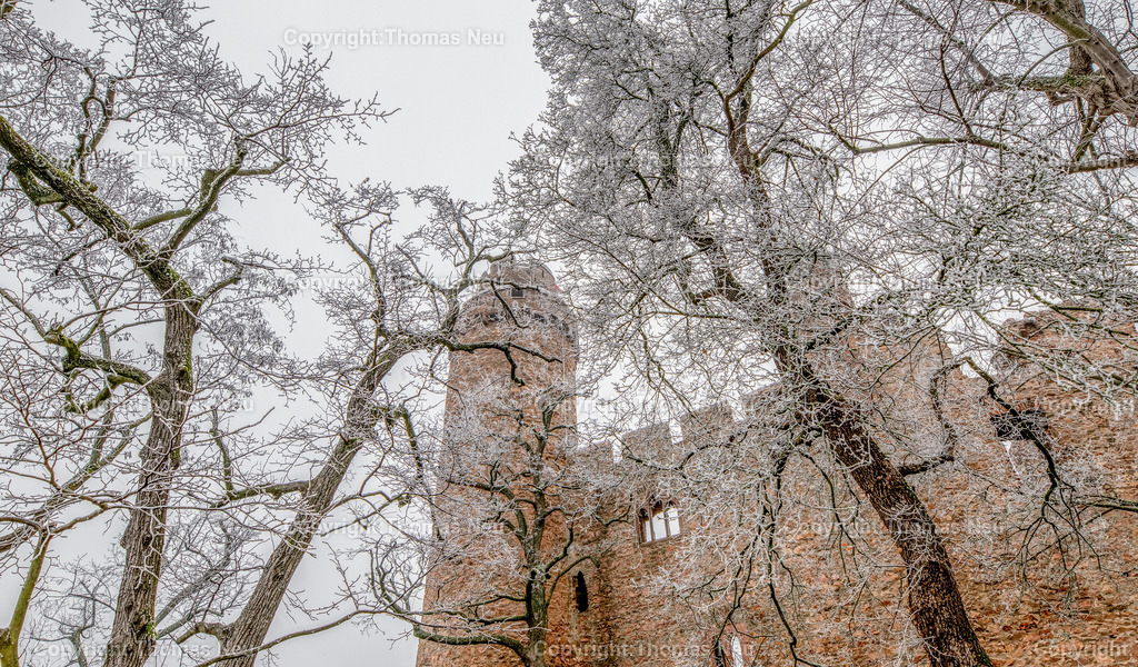 Winter-Schloss-Auerbach-Thomas_Neu_Fotografie-47 | Winterzauber auf Schloss Auerbach: Die historische Burgruine hoch über der Bergstraße zeigt sich im Schnee von ihrer beeindruckendsten Seite. Der Blick über die Rheinebene, der mächtige Wehrturm und die markante Schwarzkiefer machen das Schloss zu einem der schönsten Wintermotive im Odenwald. Entdecken Sie die faszinierende Kombination aus Geschichte, Natur und einzigartiger Winteratmosphäre., Bild: Thomas Neu