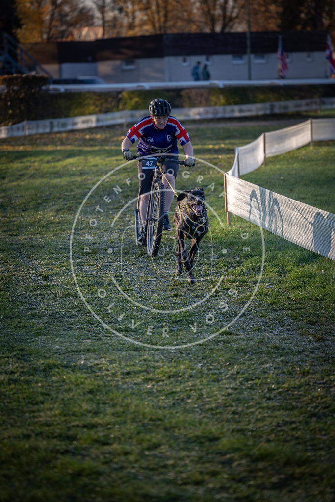 CaniXpix_0L8A2096 | Hundefotografie, Tierfotograf, Pfotenfotografie, Fotoshooting Hund, Hunde Portrait, Hundesport, Hundeportraits, Heideshooting, Hunde, Sportfotograf, Hundefotograf, Turnierhundsport, THS,  - Realisiert mit Pictrs.com