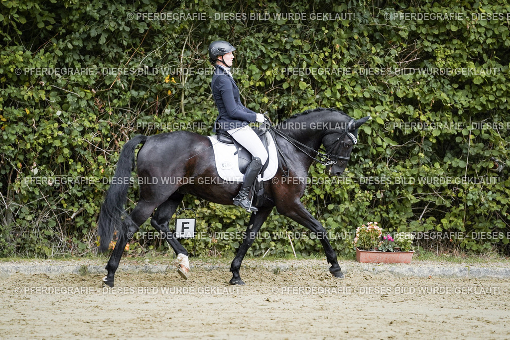 DSC00048 | Pferdegrafie