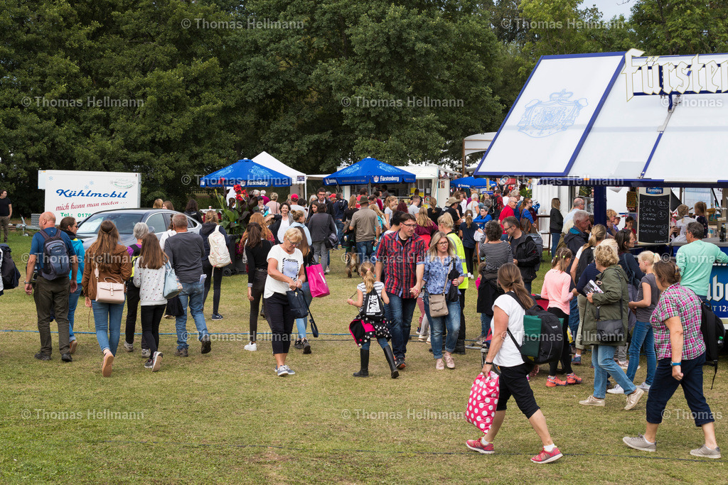 TH_Massen_1560 | CHI Donaueschingen 2019 am 17.08.19 in Donaueschingen, Donaueschinger Schlosspark, Thomas Hellmann, TH_Massen_1560
