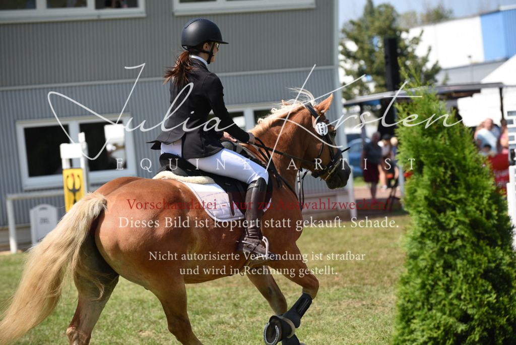 DSC_9952 | Pferde- und Turnierfotografie in Westsachsen. Pferdeportraits, Auftragszeichnungen und intuitive Kunst.