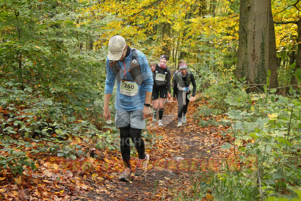 251026_1258_EV4_6224 | Sportfotografie im Rhein-Sieg Kreis, Köln, Bonn, NRW, Rheinland Pfalz, Hessen, etc. Unser Tätigkeitsfeld umfasst den Laufsport vom Volkslauf über den Marathon, Duathlon, Triathon bis zum Ultralauf wie Kölnpfad Ultra oder Schindertrail.