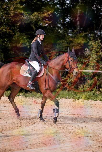 2026_10_03_Siefer-Hof_143433_Z81_02252302 | Professionelle Reitsport-, Turnier- und Eventfotografie von Robert Broda. Galerien mit ausgewählten und bearbeiteten Bildern direkt online ansehen und bestellen.