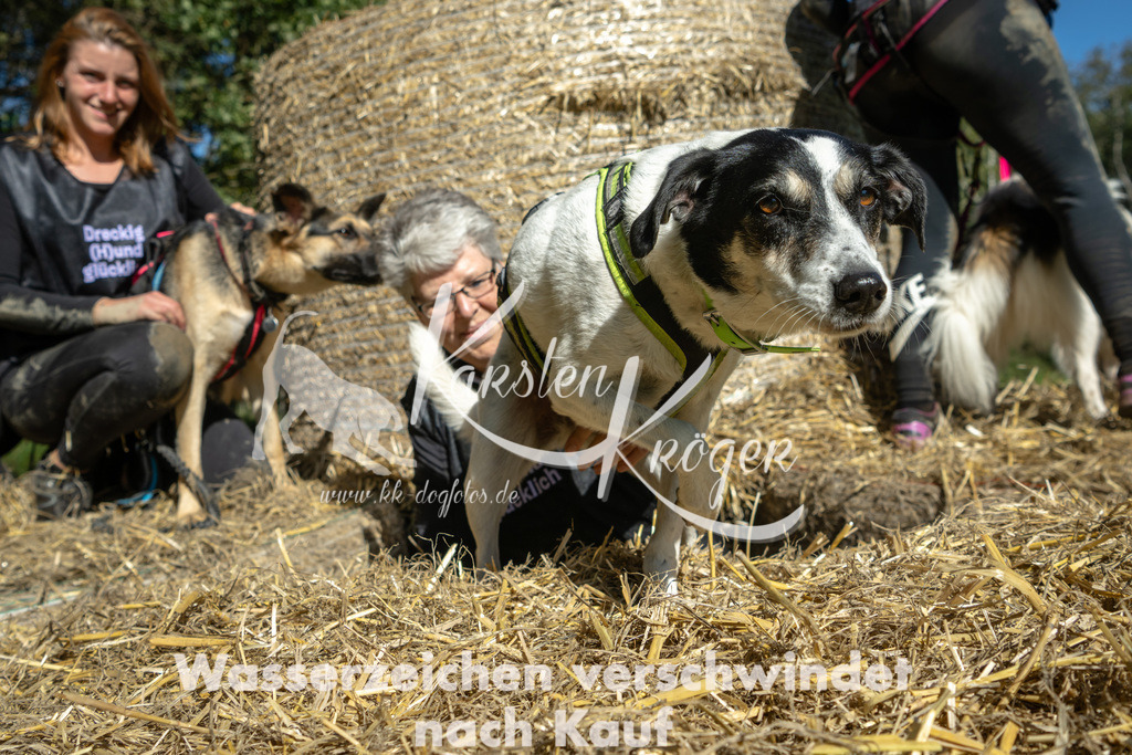 1245_ZZ92159-2 | kk-dogfotos