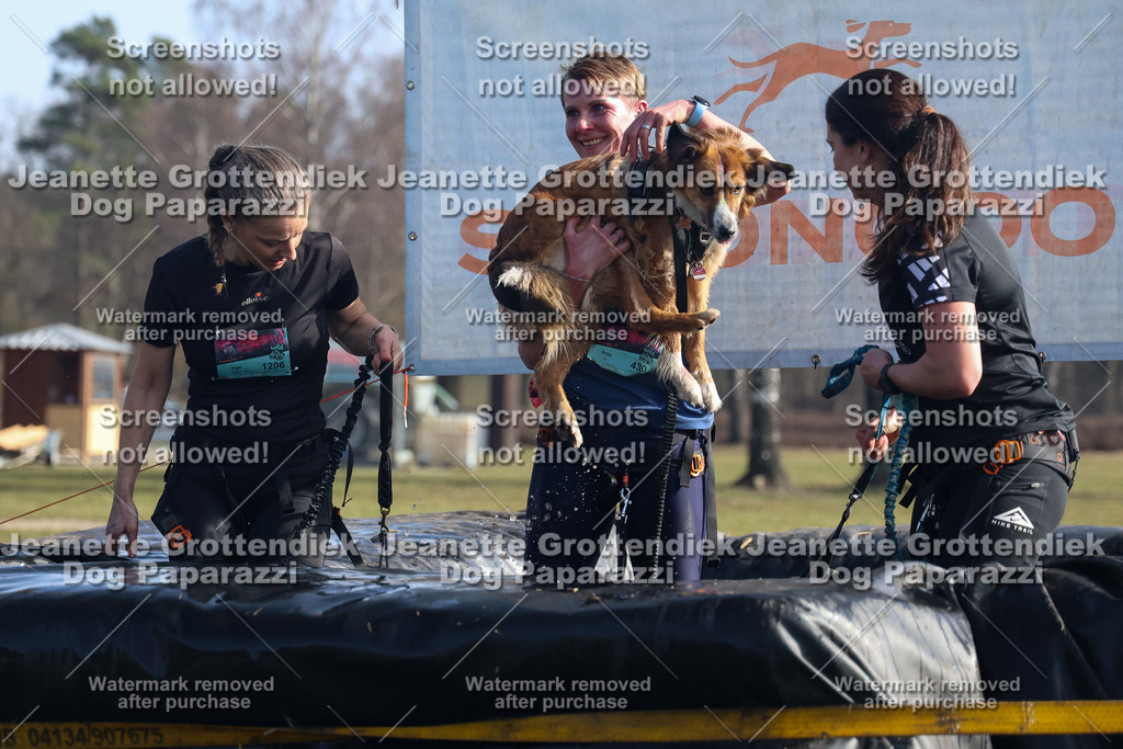 Dog Paparazzi - Strongdog North Mrz26-1272 | Dog Paparazzi Jeanette Grottendiek Fotografie & Videografie - Realisiert mit Pictrs.com
