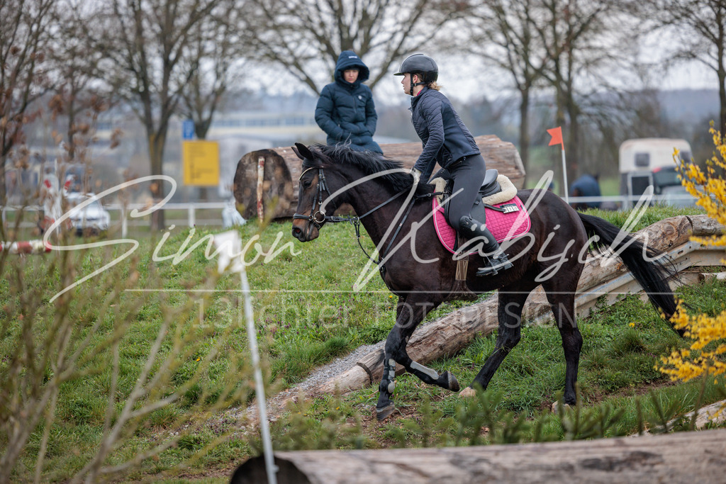 20260329-_3LI4172 | Tierfotografie Pferde, Hunde, Katzen, Haustiere.
Turnierfotografie Reitturniere, Reiten, Springreiten, Dressur in Hanau, dem Main-Kinzig-Kreis und dem Rhein-Main- Gebiet um Frankfurt