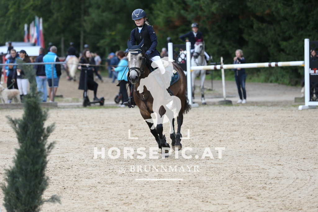 DL2Q4534 | Willkommen bei Brunnmayr - Design & Fotografie – Ihrem Spezialisten für Reitturniere und Pferdeveranstaltungen in Oberösterreich, Salzburg und Bayern! Seit über 17 Jahren sind wir leidenschaftlich dabei.