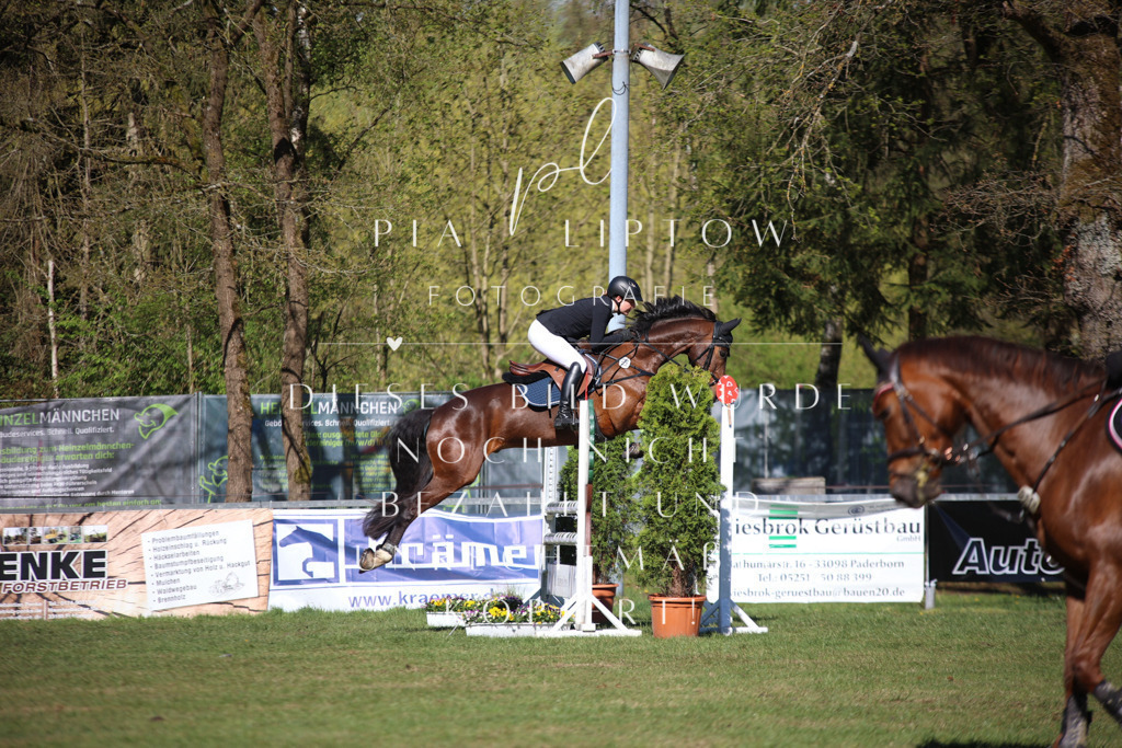 IMGT0457 | pl-fotografie