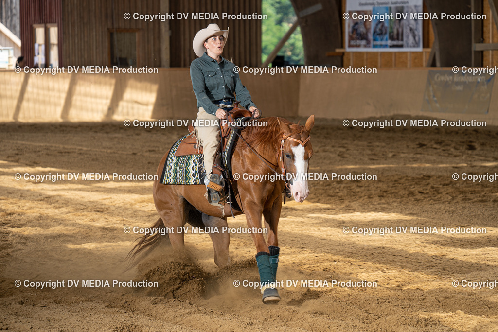 DSC00064 | dv-media-shop - Realisiert mit Pictrs.com