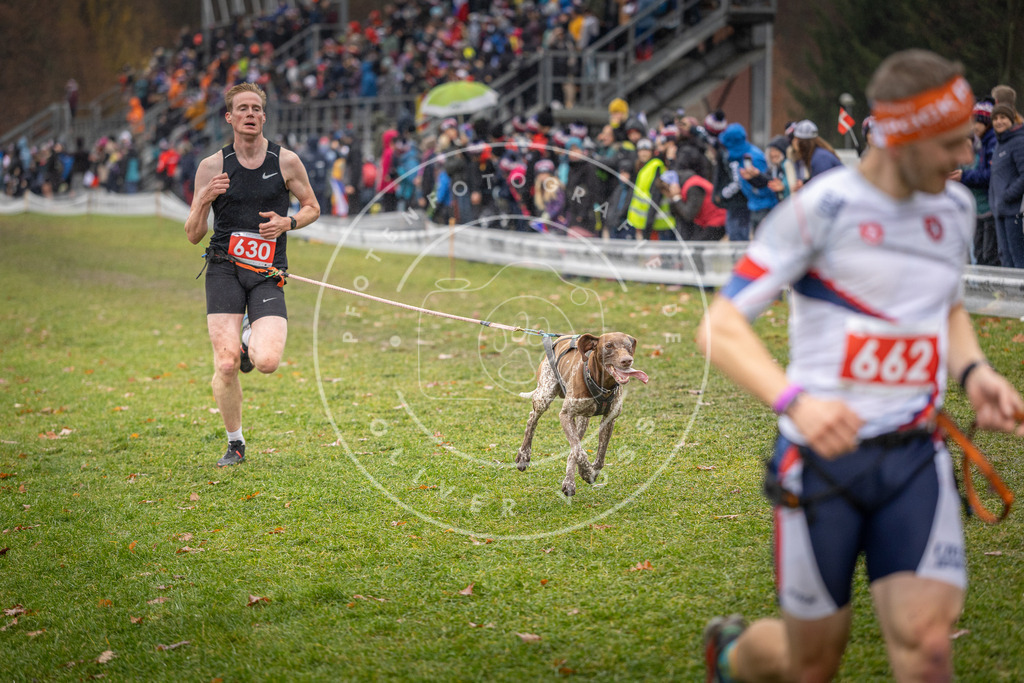 CaniXpix_DV3A9879 | Hundefotografie, Tierfotograf, Pfotenfotografie, Fotoshooting Hund, Hunde Portrait, Hundesport, Hundeportraits, Heideshooting, Hunde, Sportfotograf, Hundefotograf, Turnierhundsport, THS,  - Realisiert mit Pictrs.com