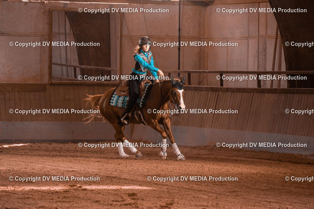 NE201119 | dv-media-shop - Realisiert mit Pictrs.com