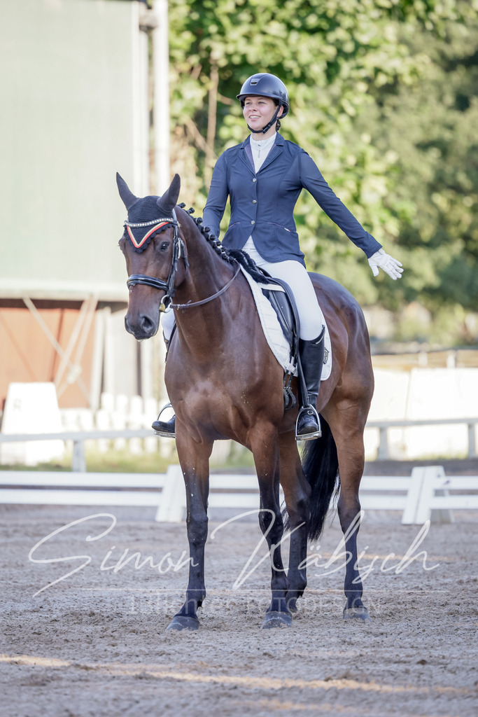 20250906-_3LI2729 | Tierfotografie Pferde, Hunde, Katzen, Haustiere.
Turnierfotografie Reitturniere, Reiten, Springreiten, Dressur in Hanau, dem Main-Kinzig-Kreis und dem Rhein-Main- Gebiet um Frankfurt