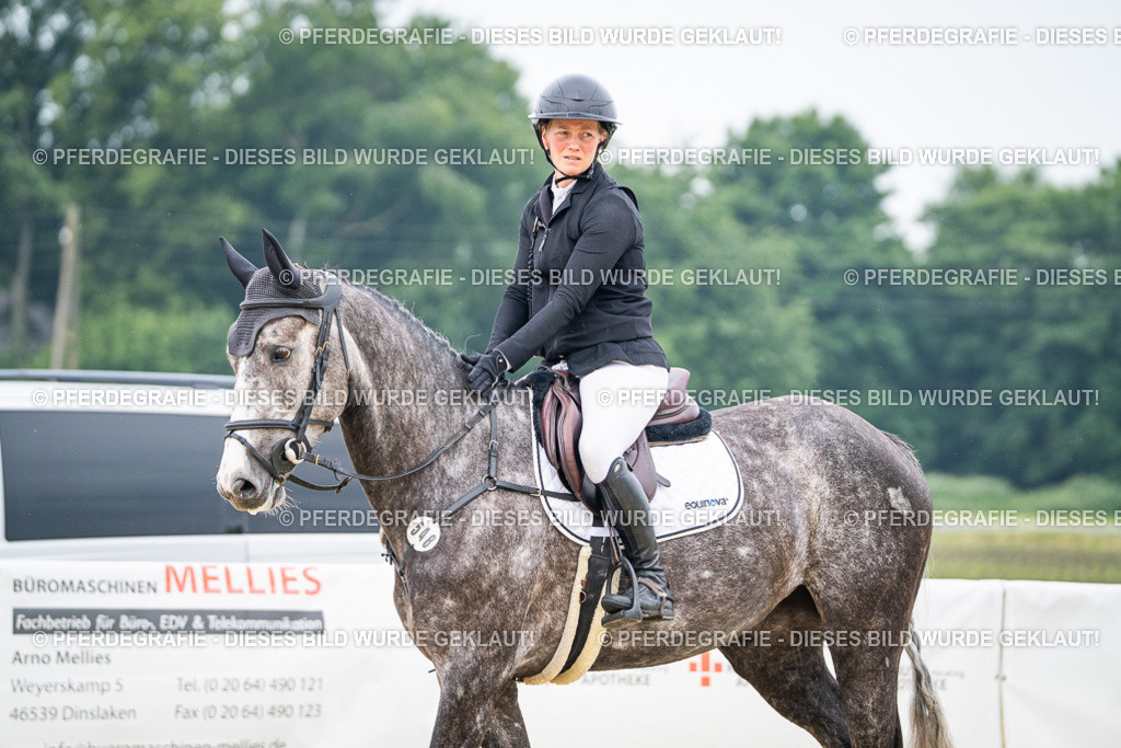 DSC09760 | Pferdegrafie