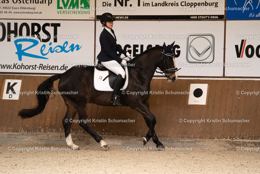 Dressur Reiterwettbewerb-14 | Kristin Schumacher Photography