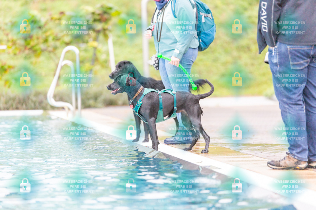 _HP_7316_1000o | HetPix, HetPix Fotodesign, Fotografie, Fotodesign, Webshop, Sportfotografie, Portraitfotografie, Onlineshop, Sportfotografie, Polch, Motorsportfotografie, Eventfotografie