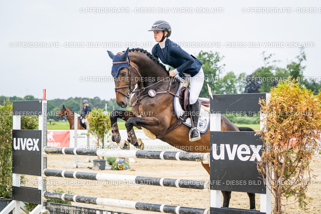 DSC02567 | Pferdegrafie