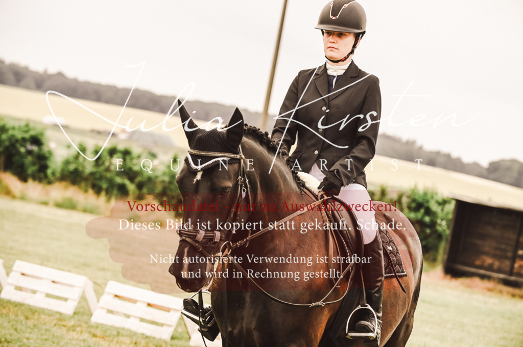 DSC_5052 | Pferde- und Turnierfotografie in Westsachsen. Pferdeportraits, Auftragszeichnungen und intuitive Kunst.