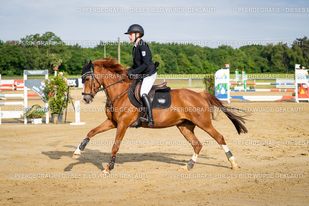 DSC03034 | Pferdegrafie