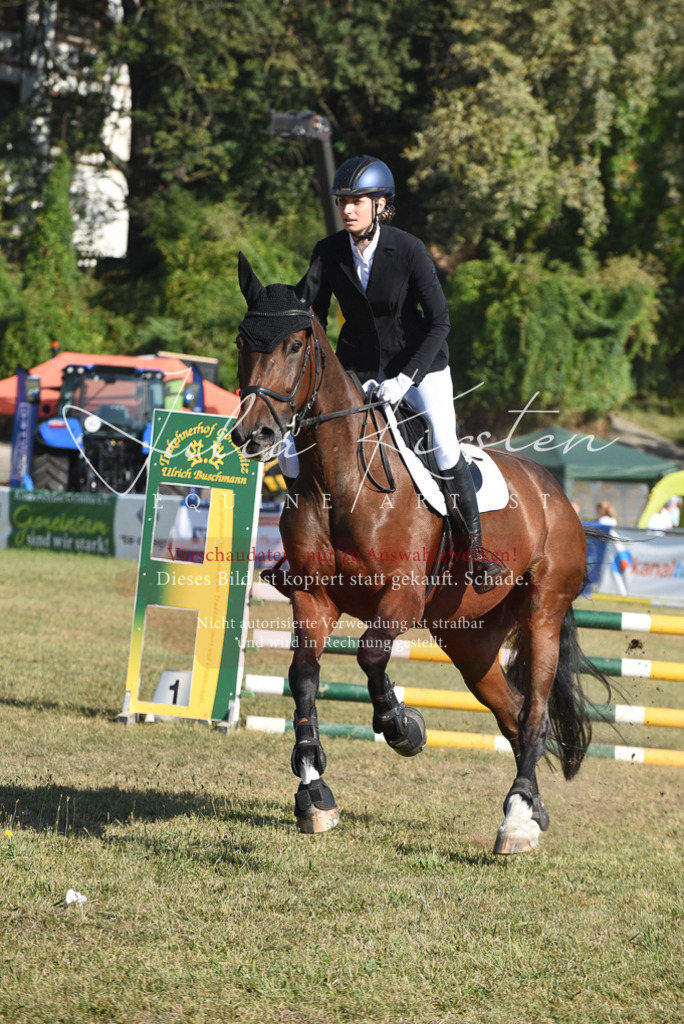 DSC_5401 | Pferde- und Turnierfotografie in Westsachsen. Pferdeportraits, Auftragszeichnungen und intuitive Kunst.