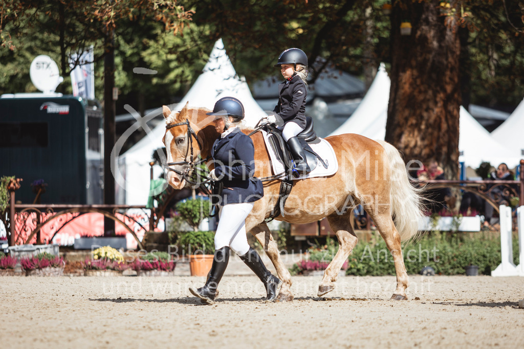 240915_OWLCh_FuehrzuegelWB-694 | Deine schönsten Turniermomente als professionelle Fotos! Entdecke hochwertige Pferdesport-Fotografie im Online-Shop. Jetzt Fotos finden & bestellen!