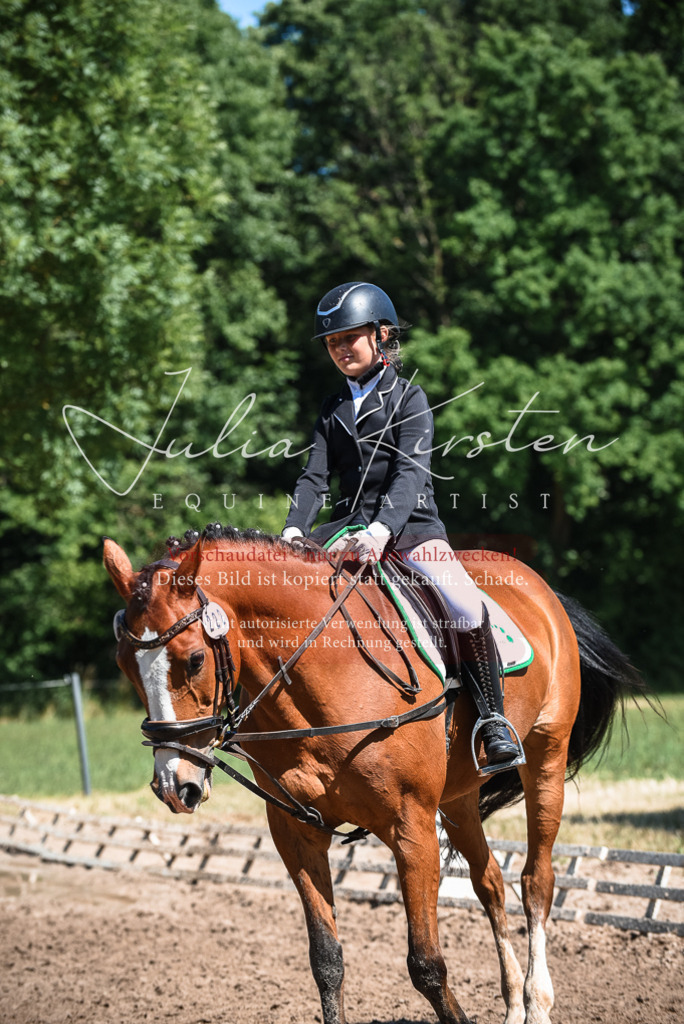 DSC_3412 | Pferde- und Turnierfotografie in Westsachsen. Pferdeportraits, Auftragszeichnungen und intuitive Kunst.