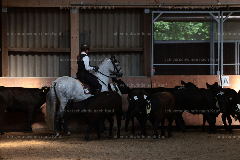 Masterclass_stoibphotography_C2_L7142.JPG | working equitationturnier fotograf videograf stoibphotography marixx film working equitation deutschland reitsport turnierfotografie eventfotografie equestrian events