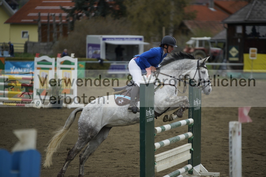 _DSC7262 | equestrian-live-com