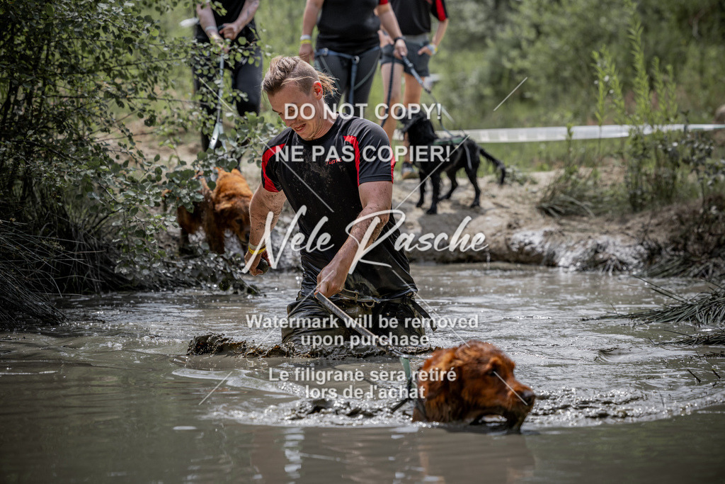 nelerasche_so1230-1300_341 | nelerasche