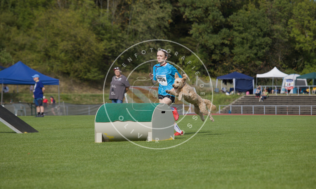 0L8A3546 | Hundefotografie, Tierfotograf, Pfotenfotografie, Fotoshooting Hund, Hunde Portrait, Hundesport, Hundeportraits, Heideshooting, Hunde, Sportfotograf, Hundefotograf, Turnierhundsport, THS,  - Realisiert mit Pictrs.com
