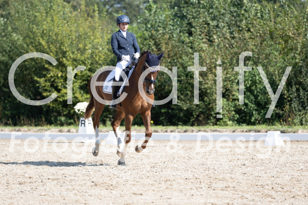 IMG_4384 | Creatify Fotografie