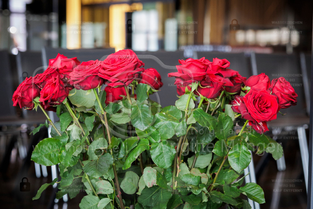 FeusiDiplomfeier_R6OO2767 | Brigitte Münger / bmsportphotography - Realisiert mit Pictrs.com