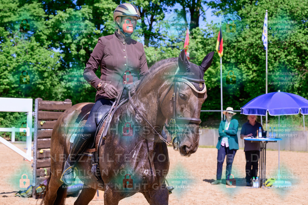 03052026-Giesenbach-05-Stiltrail-0567 | Fokus Hufschlag Fotografie - Realisiert mit Pictrs.com