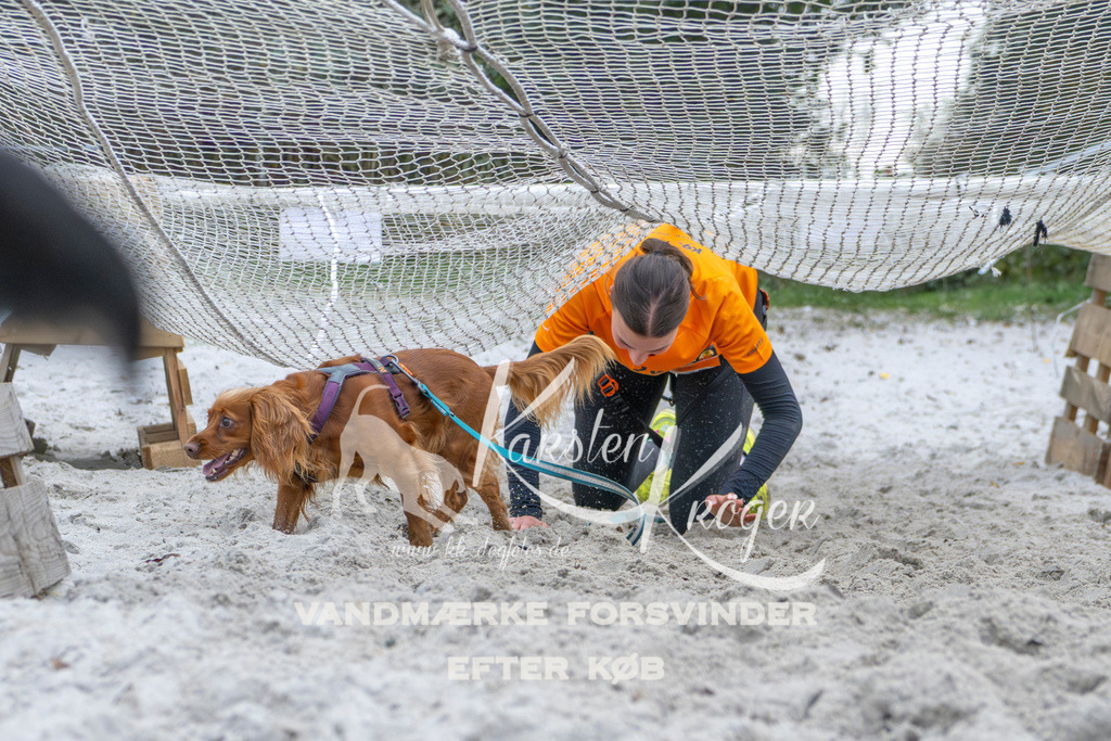 1122_ZZ96134 | kk-dogfotos