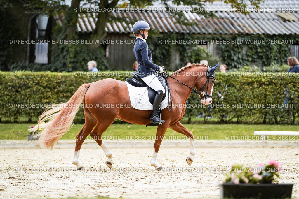 DSC07923 | Pferdegrafie