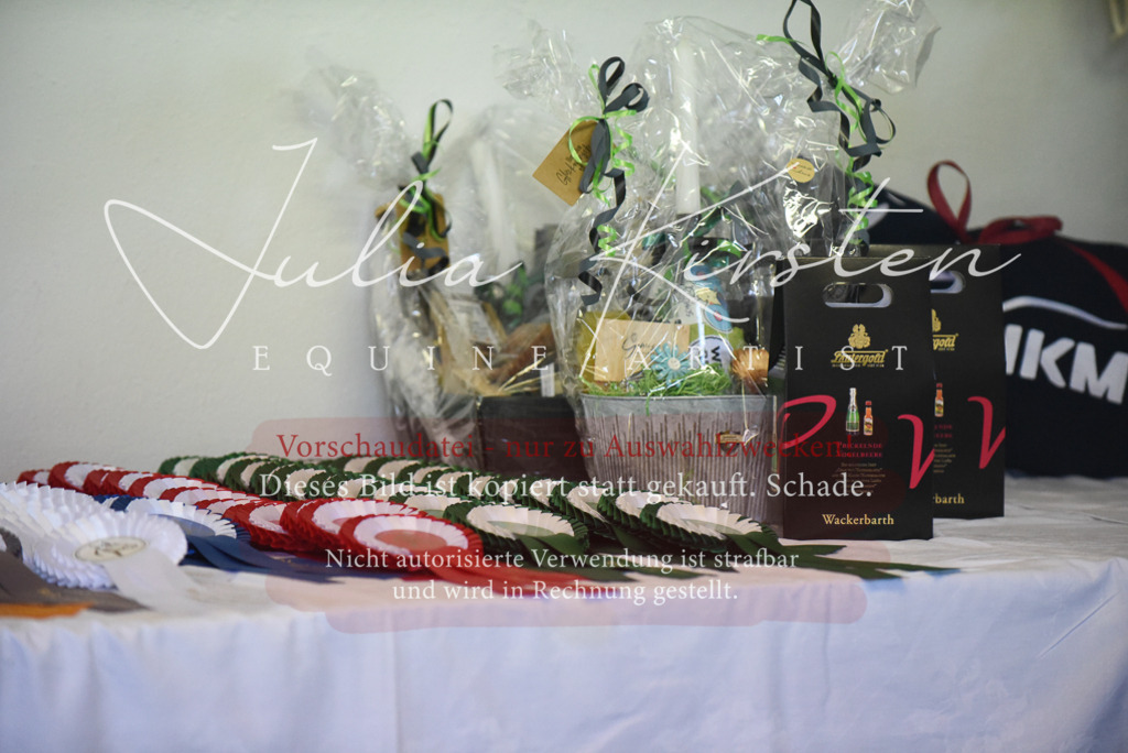 DSC_2342 | Pferde- und Turnierfotografie in Westsachsen. Pferdeportraits, Auftragszeichnungen und intuitive Kunst.