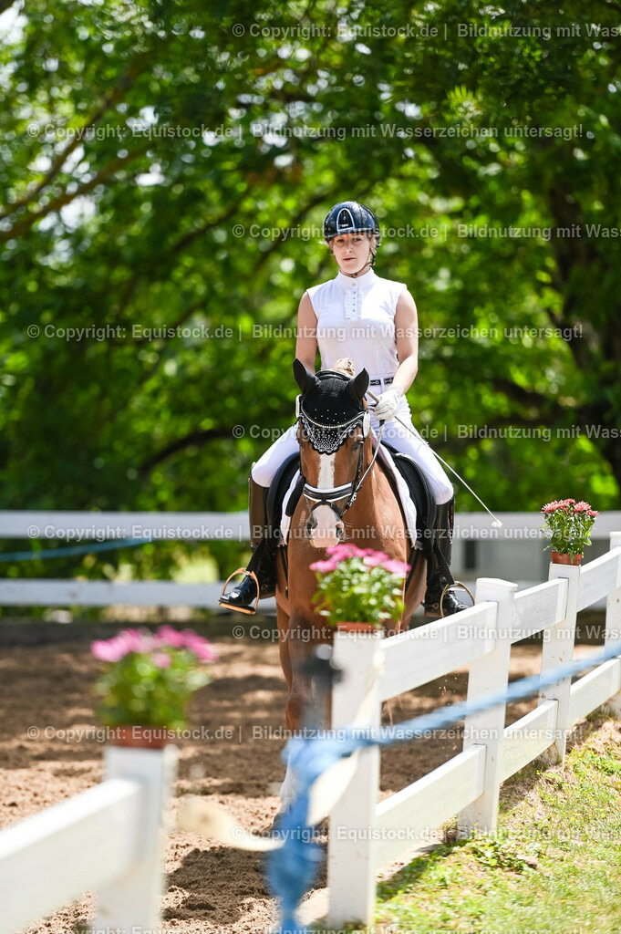 20230716_03_Dressurprfg. Kl.L - Tr._0508 | equistock