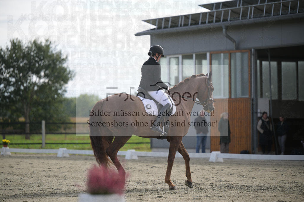 DOS_2610 | Entdecke hochwertige Reitturnierfotos von Foto Oger. Professionell, emotional und authentisch – jetzt Lieblingsmomente im Shop bestellen.Deutschlandweite Turnierfotografie. - Realisiert mit Pictrs.com