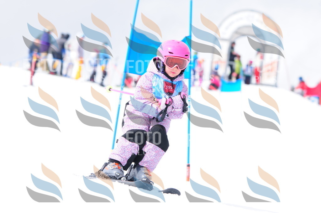 A3678 | holidayphoto