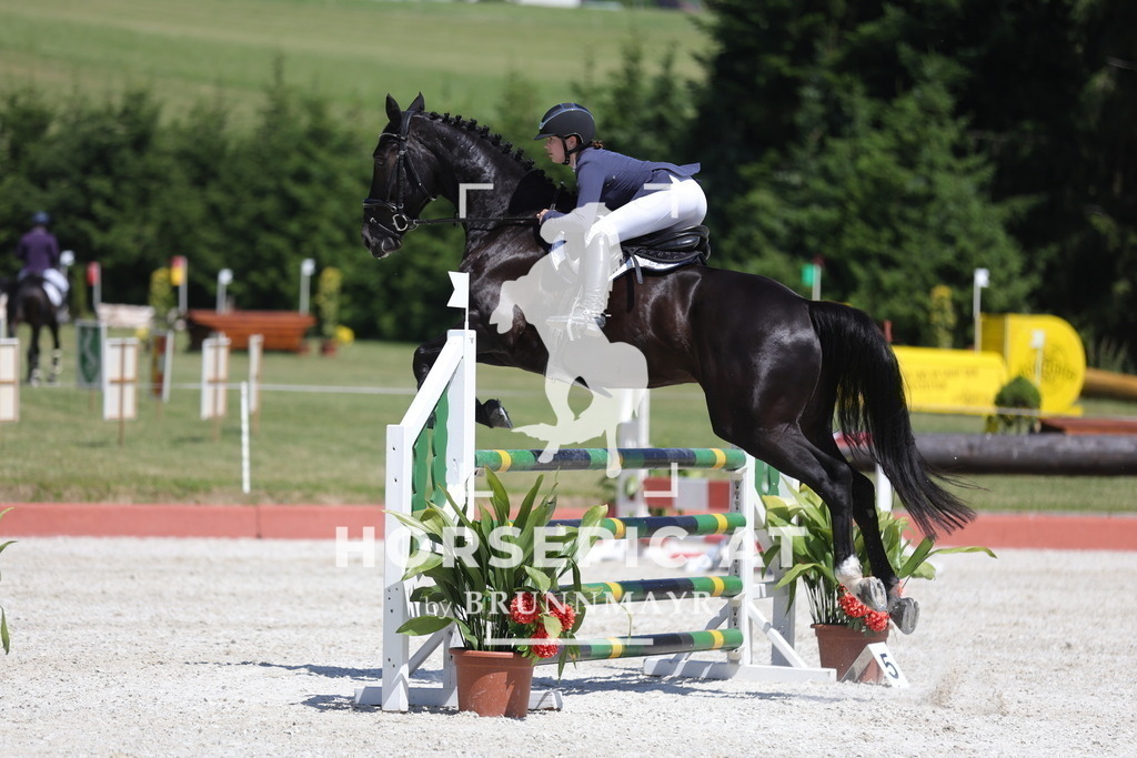 0P6A9853 | Willkommen bei Brunnmayr - Design & Fotografie – Ihrem Spezialisten für Reitturniere und Pferdeveranstaltungen in Oberösterreich, Salzburg und Bayern! Seit über 17 Jahren sind wir leidenschaftlich dabei.