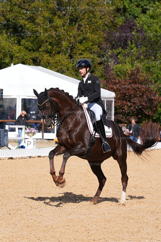 09_2-069-DRESSUR  S_  -Marixx-5962 | working equitationturnier fotograf videograf stoibphotography marixx film working equitation deutschland reitsport turnierfotografie eventfotografie equestrian events
