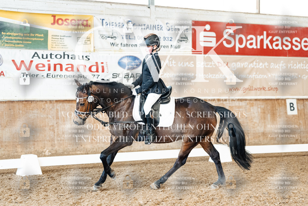 CK900034 | Turnierfotografie Pferdefotografie Trier Rheinland-Pfalz Pferdesport Reitsport Tierfotografie Sportfotografie Pferdevideo Pferdevideografie Equestrianvideography equestrianphotography  - Realized with Pictrs.com
