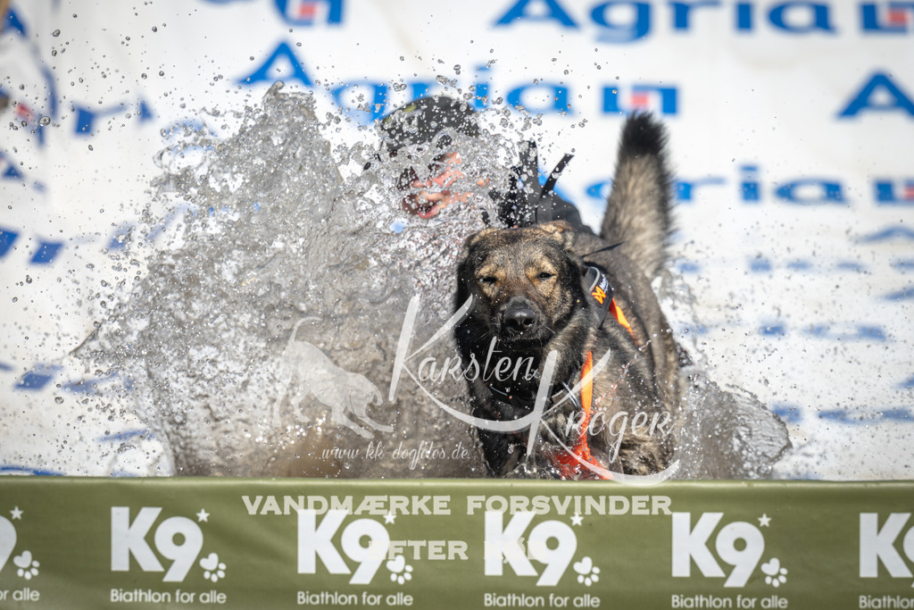 1349_ZZ91413 | kk-dogfotos