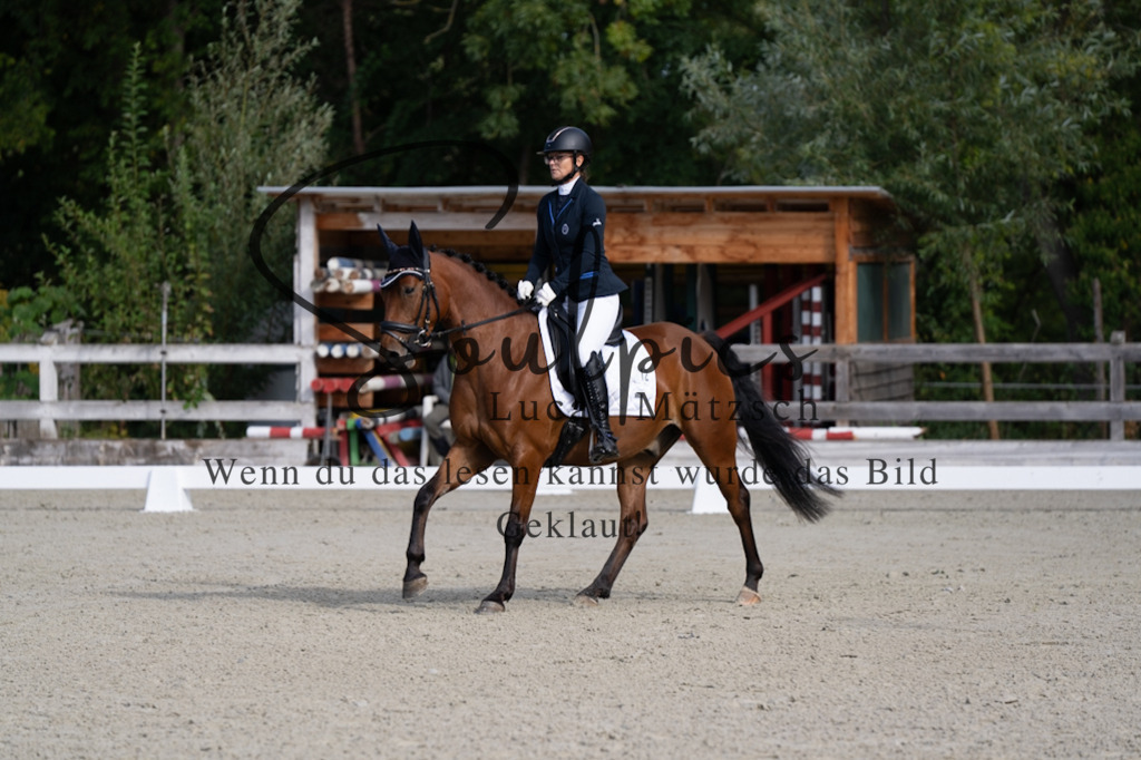 A7V06862 | Pferdefotograf